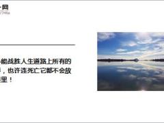 每日鸡汤励志人生哪怕遍体鳞伤也要活的漂亮.zip