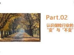 让我们成为移动互联网时代不可替代的保险代理人17页.pptx