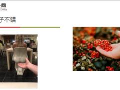 每日快乐早会19年5月21日使用12页.ppt