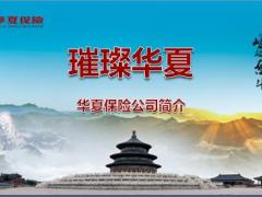 华夏人寿公司介绍2019版33页.pptx
