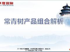 华夏重疾不重常青树产品组合解析31页.ppt