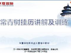 华夏常青树多倍版微沙挂历解析训练22页.pptx
