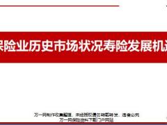 保险业历史市场状况寿险发展机遇28页.ppt