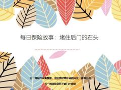 每日保险故事堵住后门的石头11页.ppt