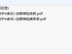 华贵守护e家优加定期寿险条款费率.zip