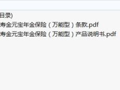 华泰人寿金元宝年金保险万能型条款说明书.zip