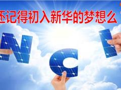 新华基本法与晋升推动46页.ppt
