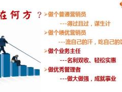 新华基本法组织发展理念实操案例篇47页.ppt