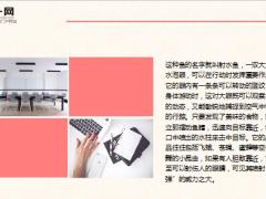 每日正能量射水鱼的绝招6页.ppt
