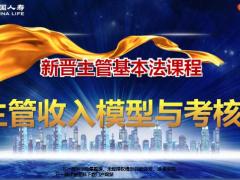 国寿新晋主管基本法收入模型与考核14页.pptx