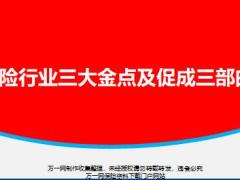 保险行业三大金点及促成三部曲17页.pptx