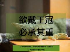 每日鸡汤励志人生欲戴王冠必承其重.zip