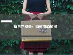 每日正能量雨蕉树的预报6页.ppt