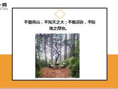 每日鸡汤励志人生只要我一息尚存就要坚持到底.zip