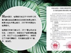 又一家银行包商银行出事被接管保险公司大而不能倒19页.ppt