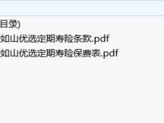 中韩爱如山优选定期寿险条款费率.zip