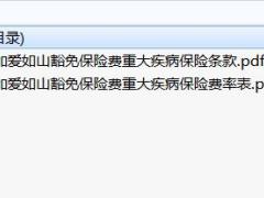 中韩附加爱如山豁免保险费重大疾病保险条款费率.zip