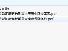 中美联泰大都会人寿都汇康健长期重大疾病保险条款费率.zip