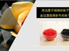 每日快乐早会19年5月30日使用12页.ppt