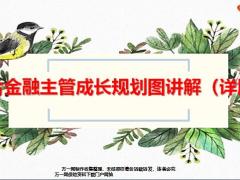 国寿综合金融主管成长规划图讲解详版33页.pptx
