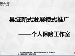 国寿县域新式发展模式推广个人保险工作室18页.pptx