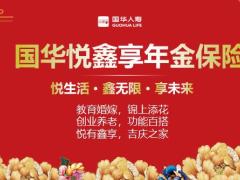 国华悦鑫享年金保险背景产品形态法商案例56页.pptx