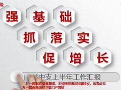 中支2019上半年工作汇报工作概述数据回顾举措不足下半年计划29页.pptx