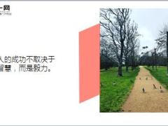 每日鸡汤励志人生机不可失时不再来.zip