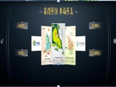 太平人寿健康保障解决方案发布会产品体系发布演讲16页.pptx