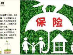 2019年4月泰康人寿十大赔案15页.ppt