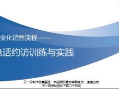 专业化销售流程电话约访内容介绍训练实践27页.pptx