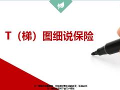 T梯图细说保险45页.pptx