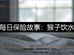每日保险故事猴子饮水8页.ppt