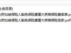 长生附加被保险人豁免保险费重大疾病保险条款费率.zip