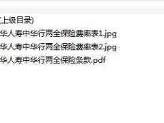 中华人寿中华行两全保险条款费率.zip