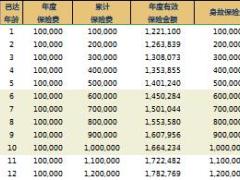 中意永续我爱终身寿险速查表自动计划书4页.xlsx