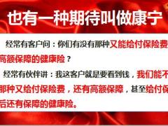 国寿康宁2019产品形态37页.pptx