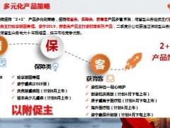 国寿康宁终身重大疾病保险2019版产品组合宣导66页.pptx