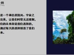 每日鸡汤励志人生生活如花姹紫嫣红.zip