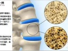 每日健康钙片牛奶通通下岗饭前半碗此汤把全家老小的钙都补足18页.ppt