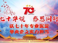 国寿盛世嘉年华福佑人生路鑫富中国年29页.ppt
