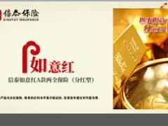 信泰如意红A款两全保险分红型产品亮点责任投保案例犹豫期11页.pptx