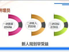 创业沙龙收入愿景图说晋升之路国寿版29页.pptx