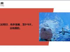 每日鸡汤励志人生只要你想这个世界就会有奇迹.zip