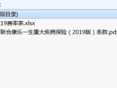 复星联合康乐一生重大疾病保险2019版条款费率.zip