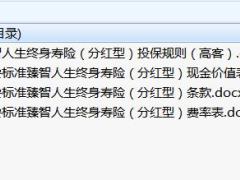 恒安标准臻智人生终身寿险分红型条款费率现金价值投保规则.zip