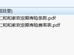 招商仁和和家欢定期寿险条款费率.zip