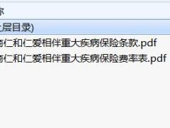 招商仁和仁爱相伴重大疾病保险条款费率.zip