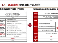 国寿爱意康悦产品组合三大亮点完美搭档收入顶薪53页.pptx