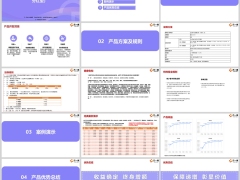 爱心人寿映山红心喜版终身寿险分红型背景优势规则案例演示总结19页.pptx 